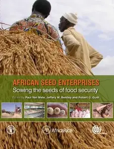 African Seed Enterprises: Sowing the Seeds of Food Security (repost)