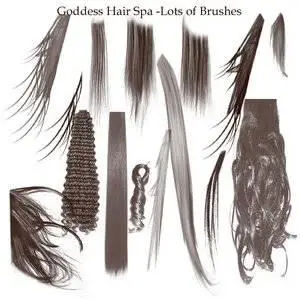 Hair Brushes for Adobe Photoshop
