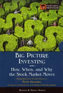 Big Picture Investing (Modern Scholar)