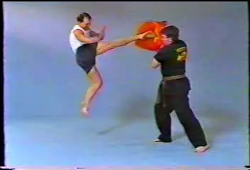 Pain Points / Robert Bussey (2001)