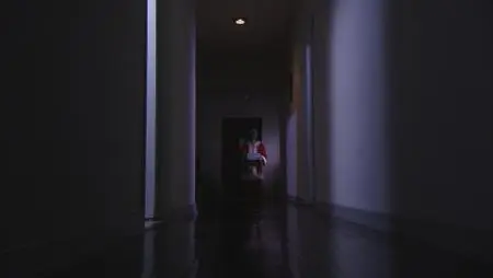 Ju-on: White Ghost (2009)