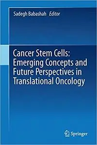 Cancer Stem Cells: Emerging Concepts and Future Perspectives in Translational Oncology