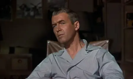 Rear Window (1954)