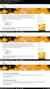 Bitcoin: Master Bitcoin Today With Certified Bitcoin Pro