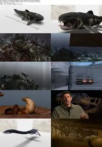 Discovery Channel - Prehistoric: Predators of the Past, all parts (2011)