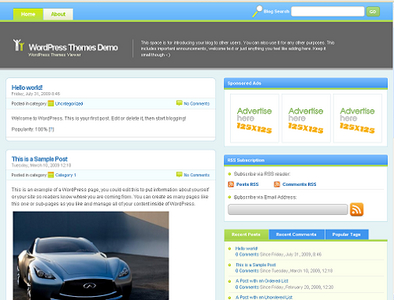 Vibrant WordPress Theme