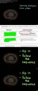 Super Power Learning - Techniques for Mastery in Learning
