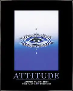 Attitude: Your Internal Compass by Denis Waitley & Boyd Matheson