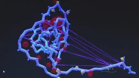 PBS - NOVA scienceNOW: What Will the Future Be Like? (2012)