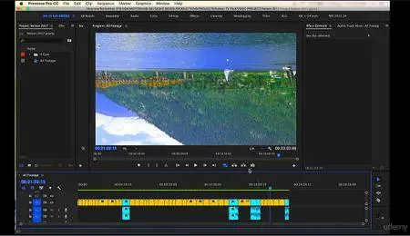 Adobe Premiere Pro CC: Complete A Video Editing Project