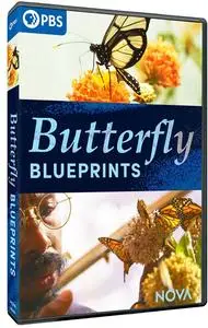 PBS - NOVA: Butterfly Blueprints (2022)