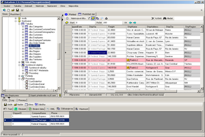 JenaSoft DatAdmin Professional v3.4.8