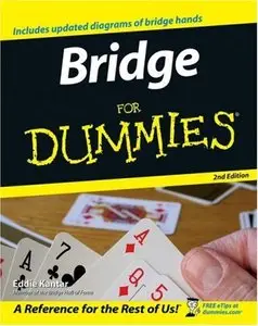 Bridge For Dummies (repost)