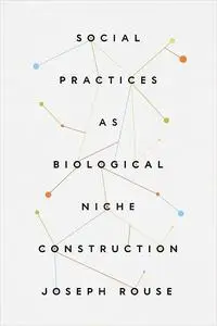 Social Practices as Biological Niche Construction