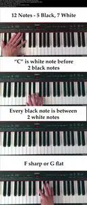 The Note Reading Bootcamp - Read Music Fast