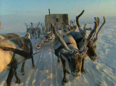 Sur la piste du mammouth (2000)
