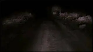 Alive or Dead (2008) DVDRip XviD