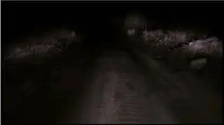 Alive or Dead (2008) DVDRip XviD