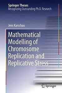 Mathematical Modelling of Chromosome Replication and Replicative Stress