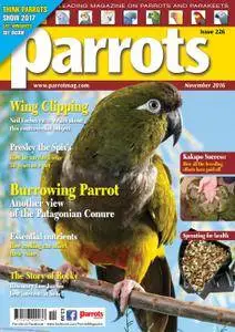 Parrots - November 2016