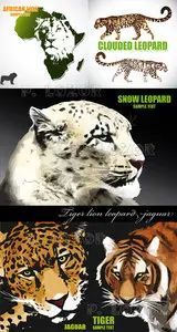 Tiger lion leopard jaguar vector