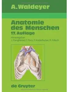 Anatomie Des Menschen (Auflage: 17)