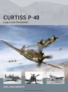 Curtiss P-40: Long-nosed Tomahawks (repost)