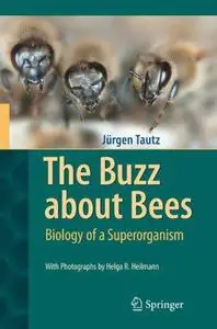 The Buzz about Bees: Biology of a Superorganism (Repost)
