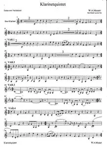 Clarinet Quintet Tema con Variazioni