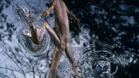 BBC - Life (2 of 10) Reptiles and amphibians (2009)