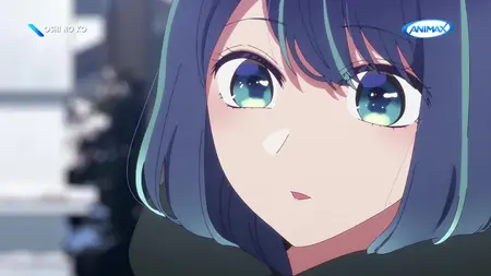 WIND BREAKER - 09 (ANIMAX Asia 1920x1080 H264 MP2