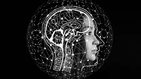 Learn Psychoneuroimmunology