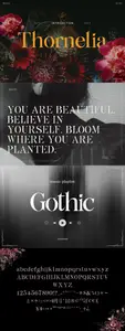 Thornelia - Elegant Gothic Serif Font 96XV5N6