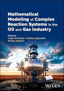 Mathematical Modeling of Complex Reaction Systems in the Oil and Gas Industry