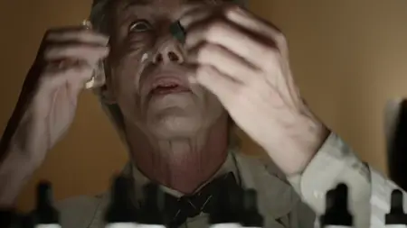 Chilling Visions: 5 Senses of Fear (2013)