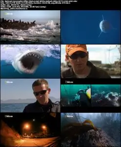 National Geographic Killer Shots Great White Ambush (2011)