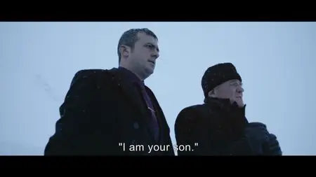 In Order of Disappearance (2014)