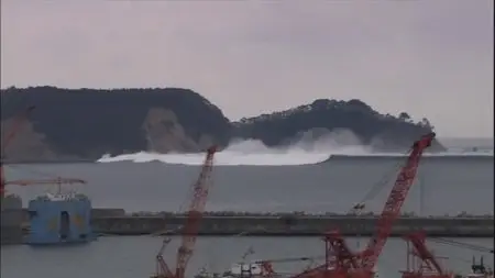 PBS - Nova: Surviving the Tsunami (2011)