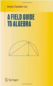 A Field Guide to Algebra