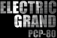 Prominy Electric Grand PCP-80