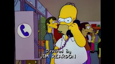 Die Simpsons S03E19