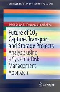 Future of CO2 Capture, Transport and Storage Projects: Analysis using a Systemic Risk Management Approach