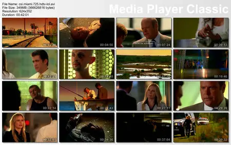 CSI Miami S07E25