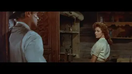 Garden of Evil/Les 3 aventuriers de Puerto Miguel - Le jardin du diable (1954)