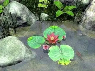 Water Lily 2 screensavers FULL