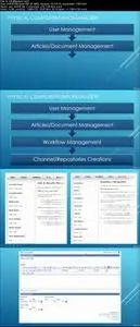 Complete Guide to Oracle Knowledge Management