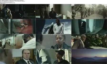 Mandela: Long Walk to Freedom (2013)