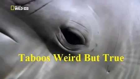 National Geographic - World's Weirdest: Animal Weird But True (2015)