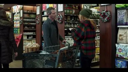 The Land of Steady Habits (2018)