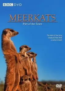 BBC Natural World - Meerkats: Part of the Team (2008)